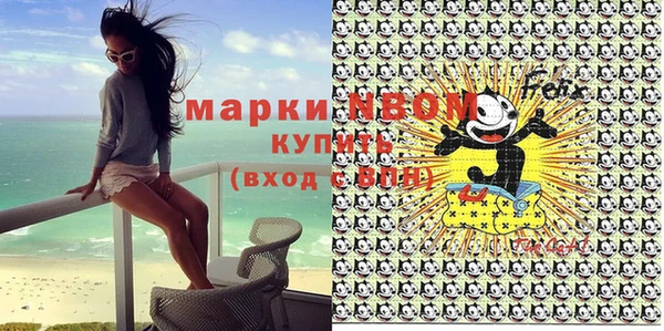 сатива Кукмор