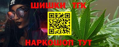 индика Кулебаки