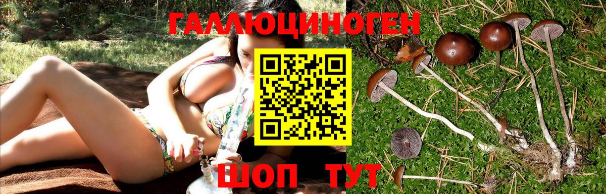 Псилоцибиновые грибы прущие грибы Лесозаводск