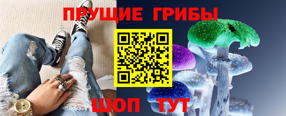 Галлюциногенные грибы Cubensis  Вход с VPN  Лесозаводск 